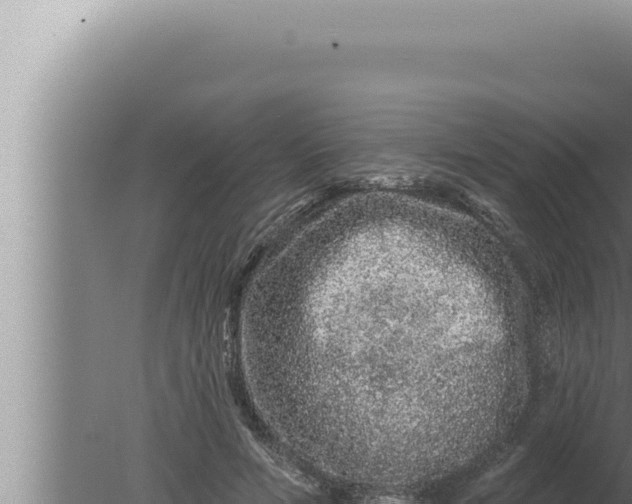 X0000080100594200612221741