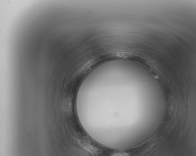 X0000080100595200612221741