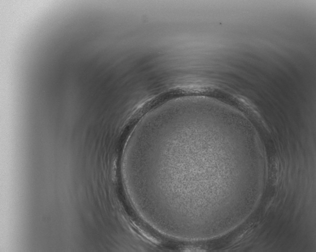 X0000080100596200612221741