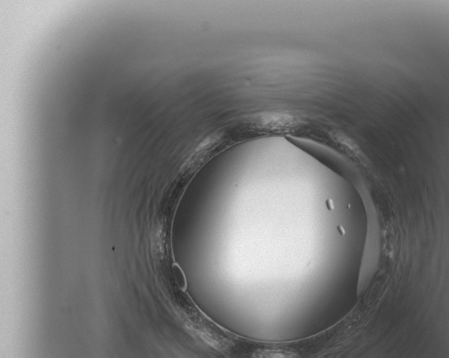 X0000080100597200612221741