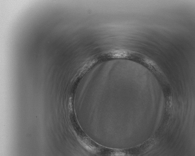 X0000080100598200612221741