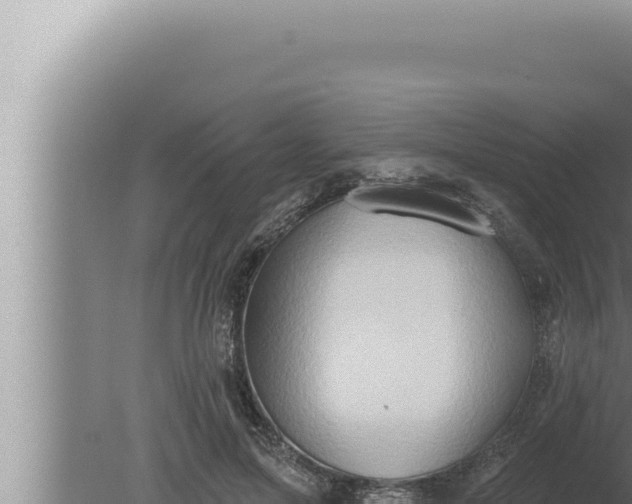 X0000080100599200612221741