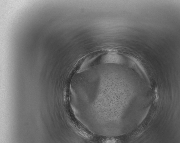 X0000080100600200612221741