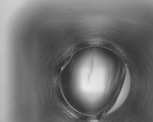 X0000080100601200612221740