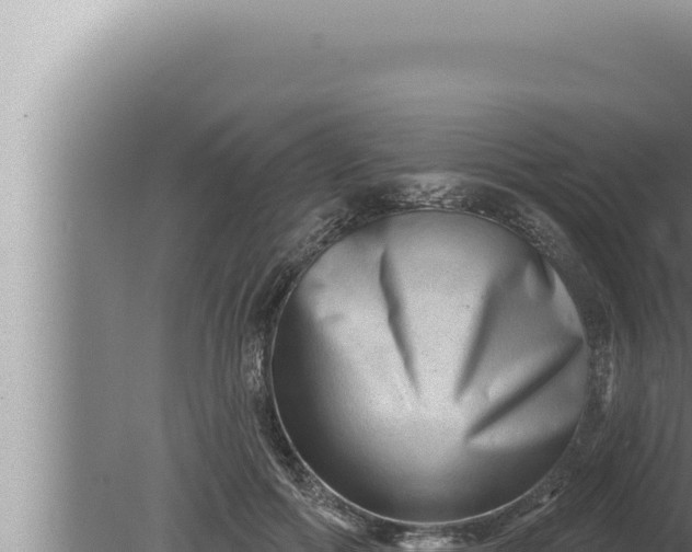 X0000080100602200612221740