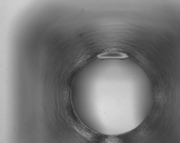 X0000080100603200612221740