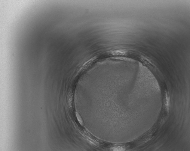 X0000080100604200612221740