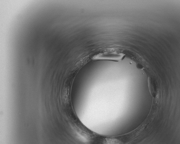 X0000080100605200612221740