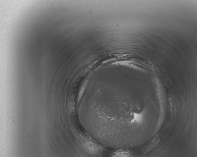 X0000080100606200612221740