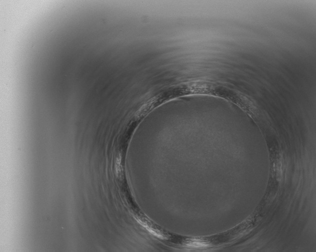 X0000080100610200612221740