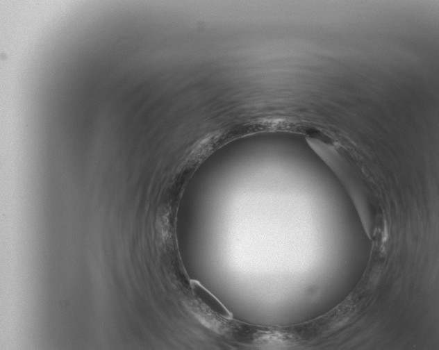 X0000080100611200612221740