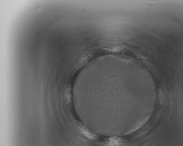 X0000080100612200612221740