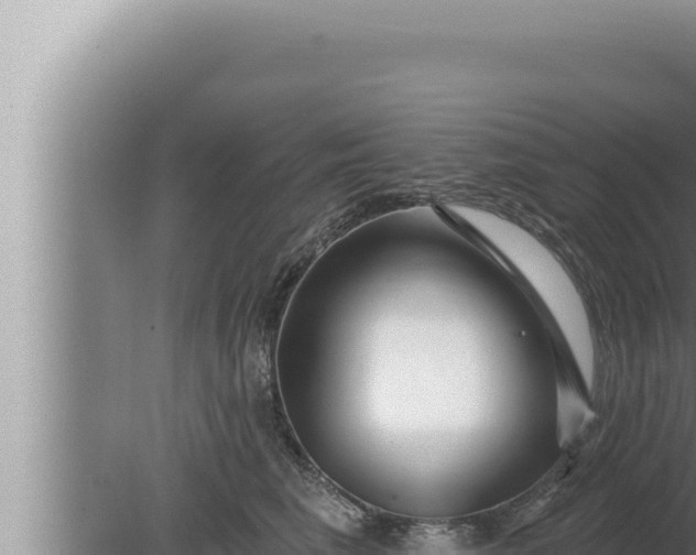 X0000080100613200612221740