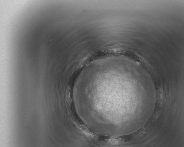 X0000080100615200612221740