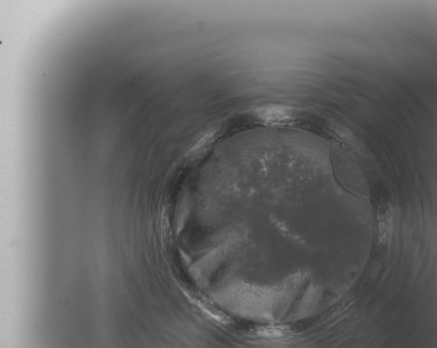 X0000080100618200612221740