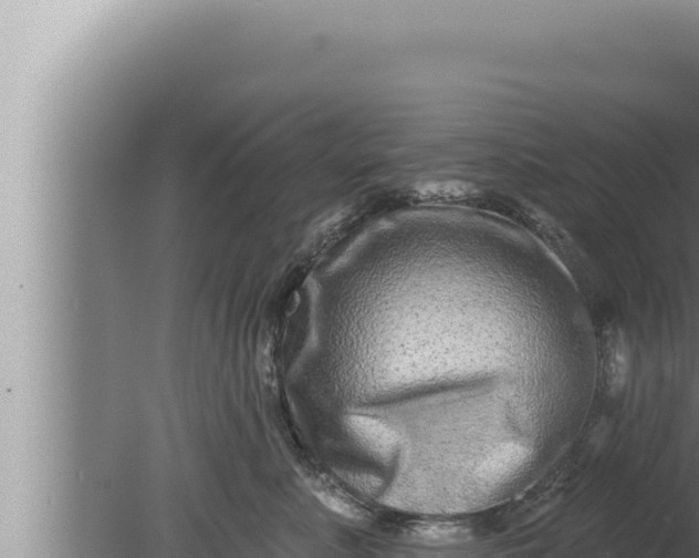 X0000080100619200612221740