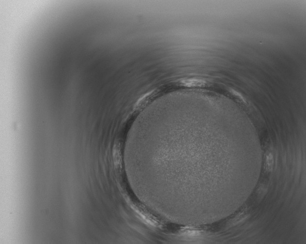 X0000080100620200612221740