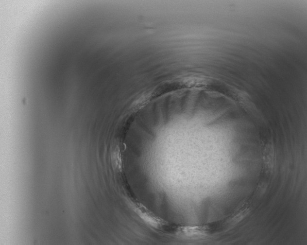 X0000080100622200612221740