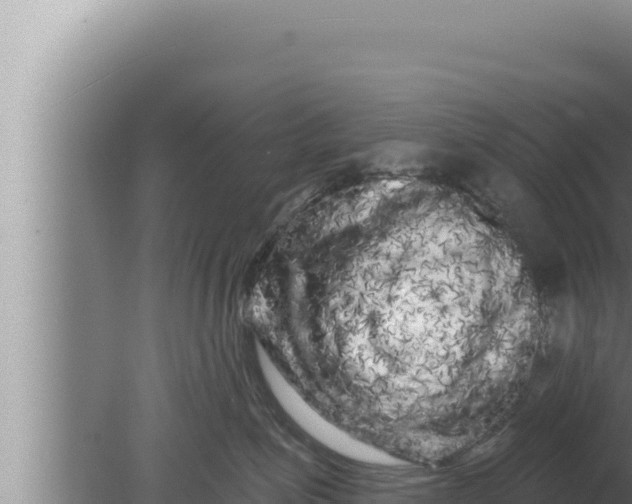 X0000080100623200612221740