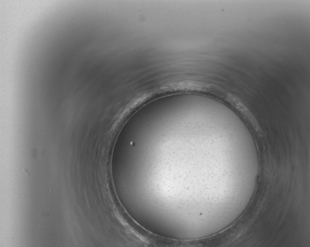 X0000080100625200612221739