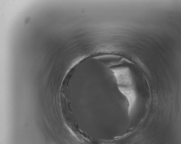 X0000080100626200612221739