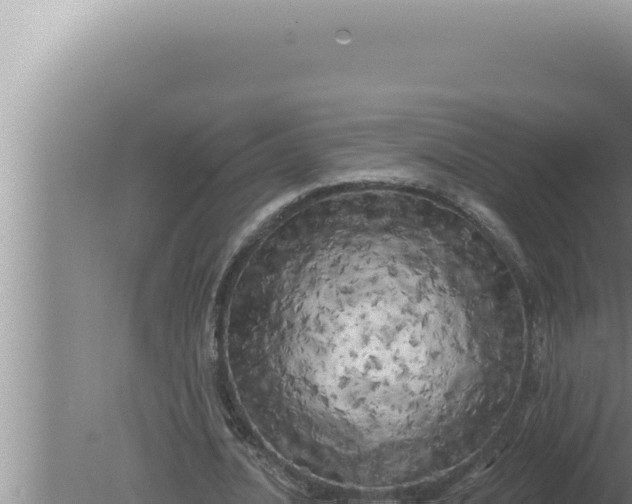 X0000080100628200612221739