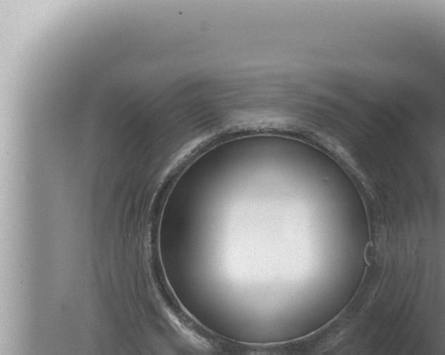 X0000080100629200612221739