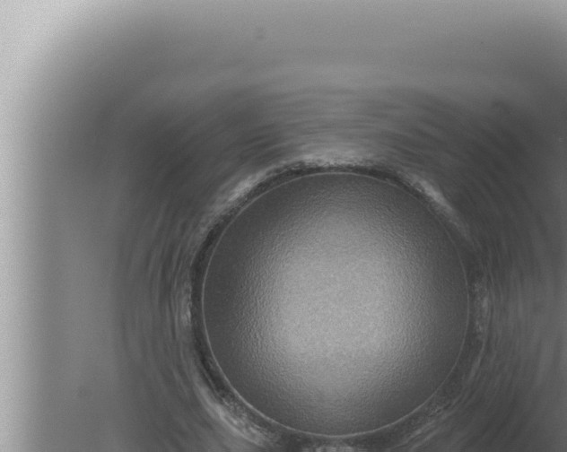 X0000080100631200612221739