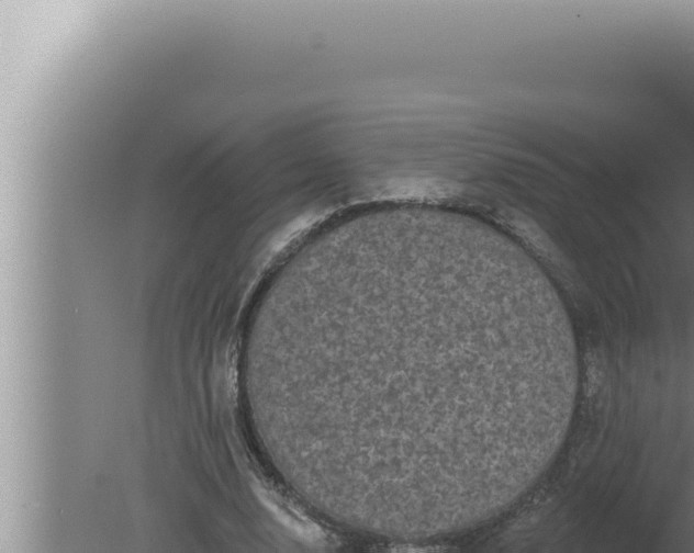 X0000080100632200612221739