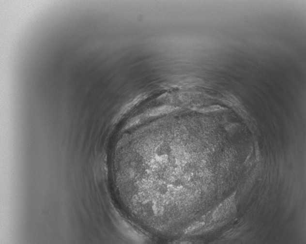 X0000080100634200612221739