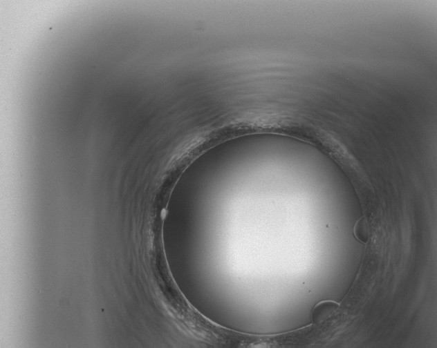 X0000080100635200612221739