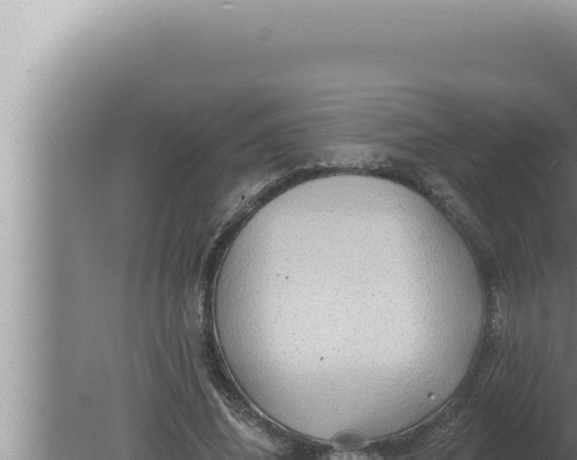 X0000080100636200612221739