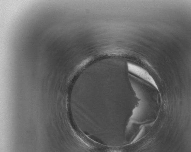 X0000080100637200612221739