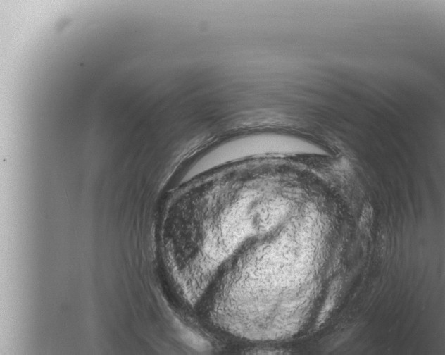 X0000080100638200612221740