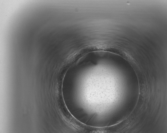 X0000080100639200612221740