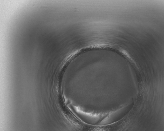 X0000080100640200612221740