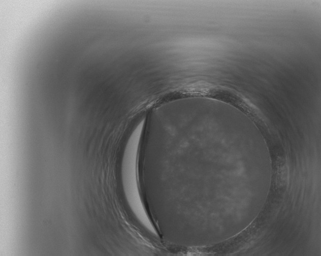 X0000080100641200612221740