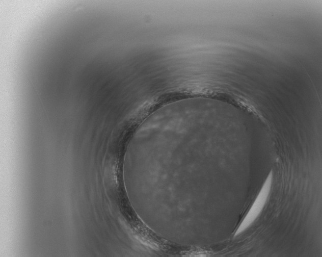 X0000080100643200612221740