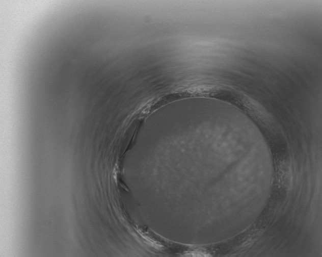 X0000080100644200612221740