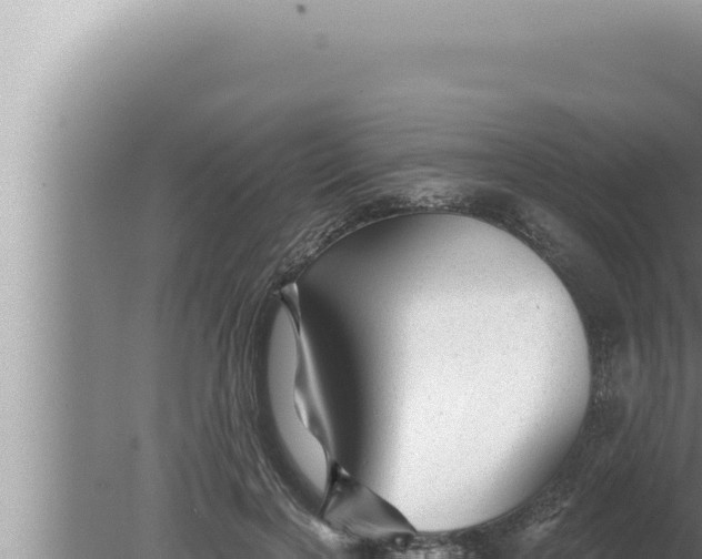 X0000080100646200612221740