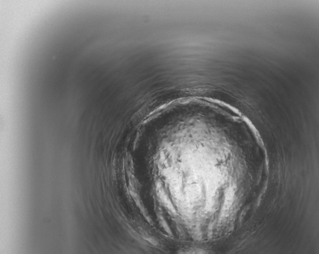 X0000080100647200612221740