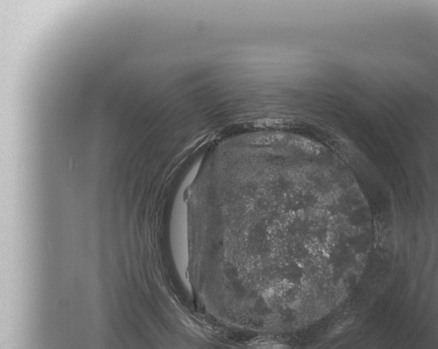 X0000080100648200612221740