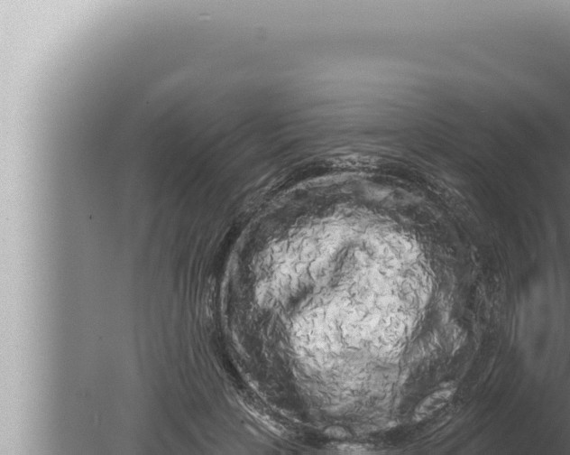 X0000080100649200612221740