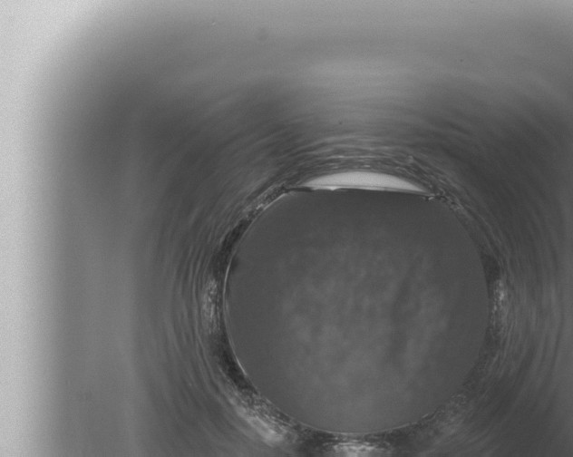 X0000080100650200612221740