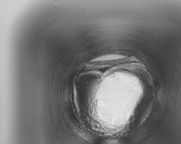 X0000080100651200612221740