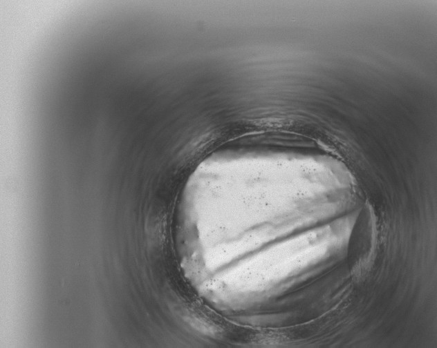 X0000080100652200612221740