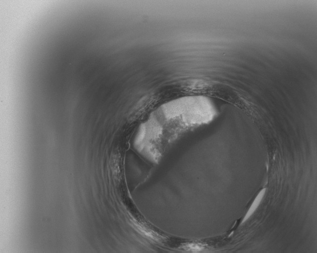 X0000080100654200612221740