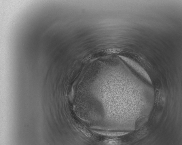 X0000080100655200612221740