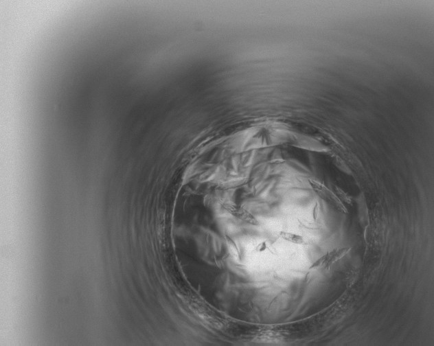 X0000080100656200612221740