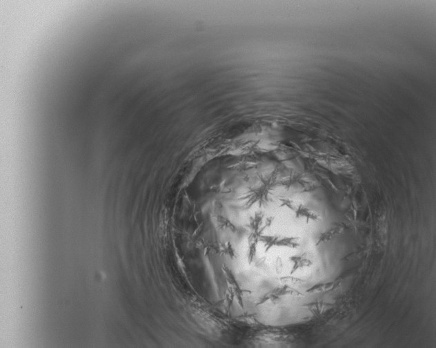 X0000080100657200612221740